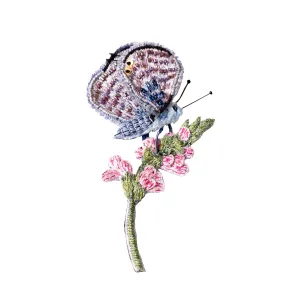chalk hill blue butterfly brooch