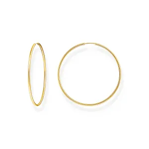 Large Hoop Earrings Gold Plated
