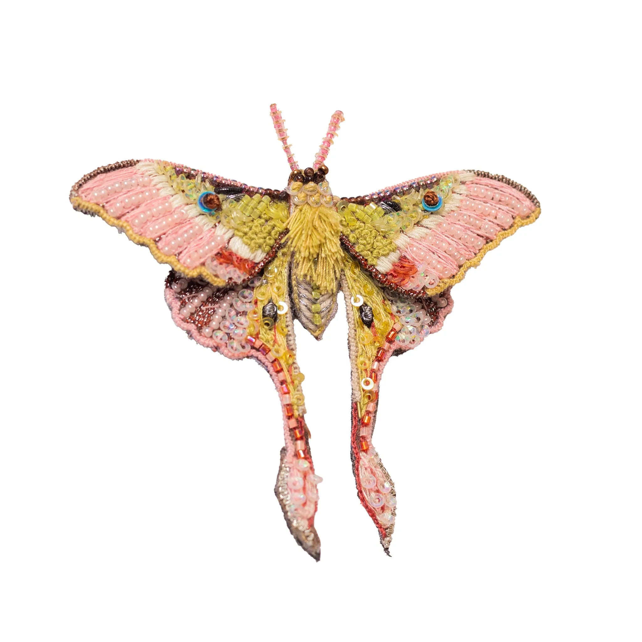 moon moth brooch