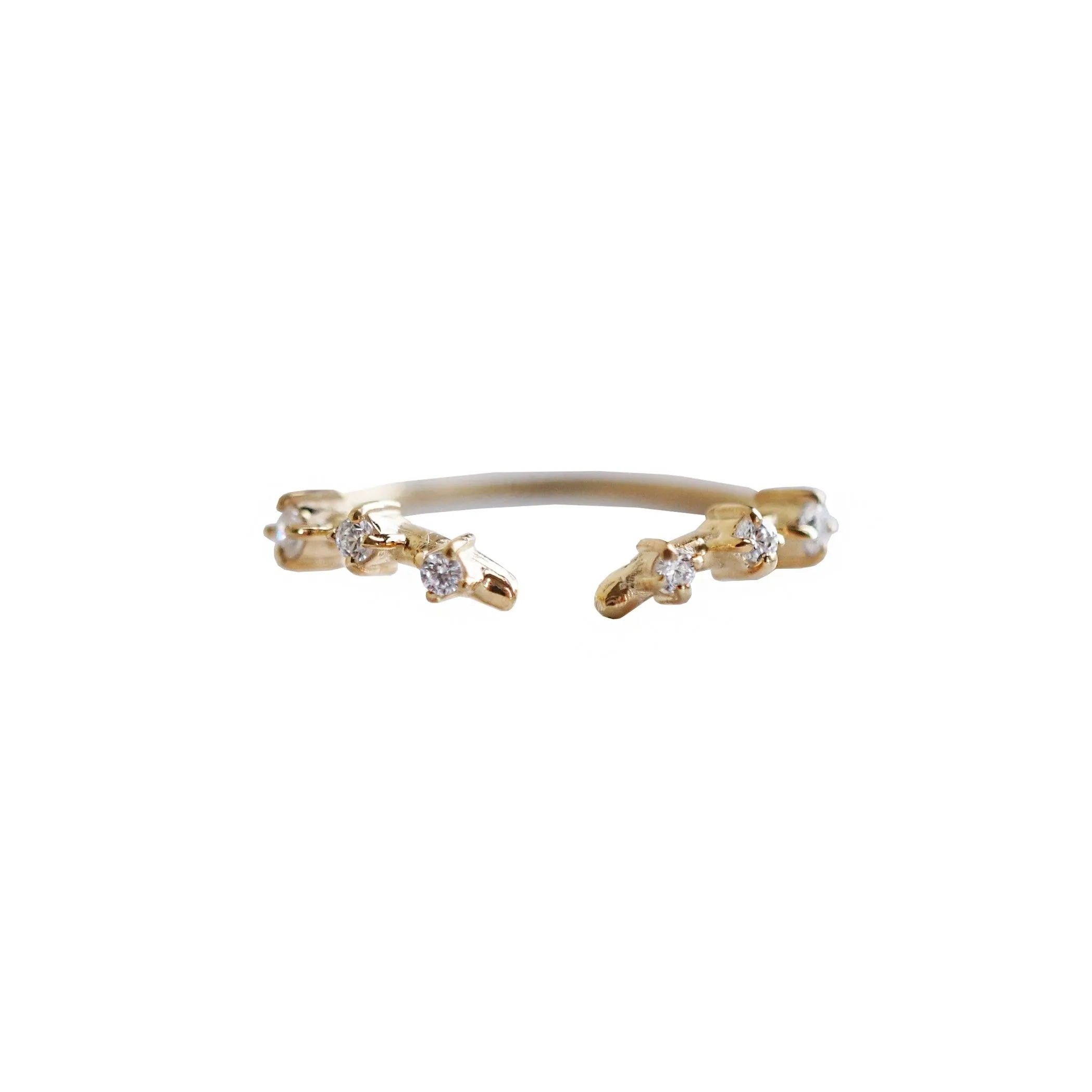 Rose Thorn Ring Band