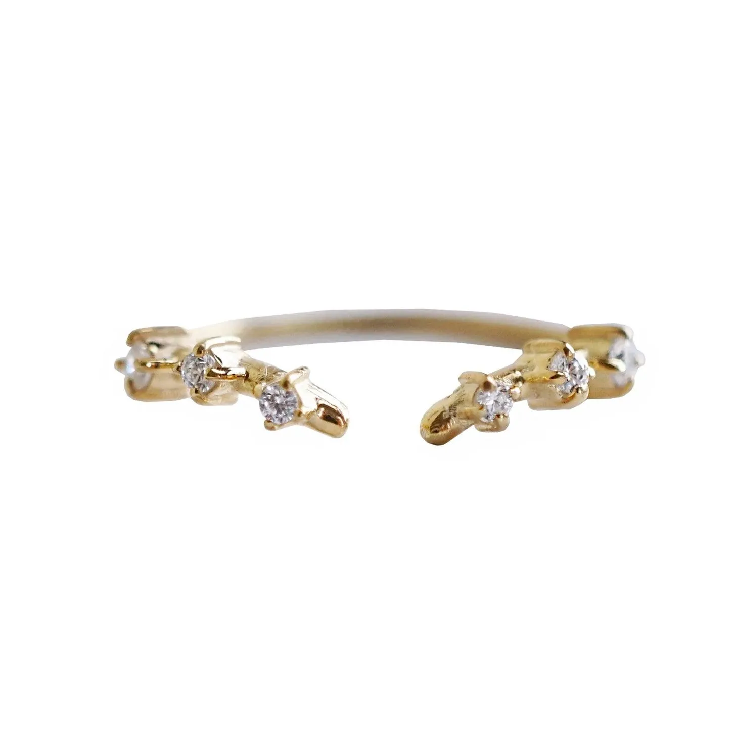 Rose Thorn Ring Band