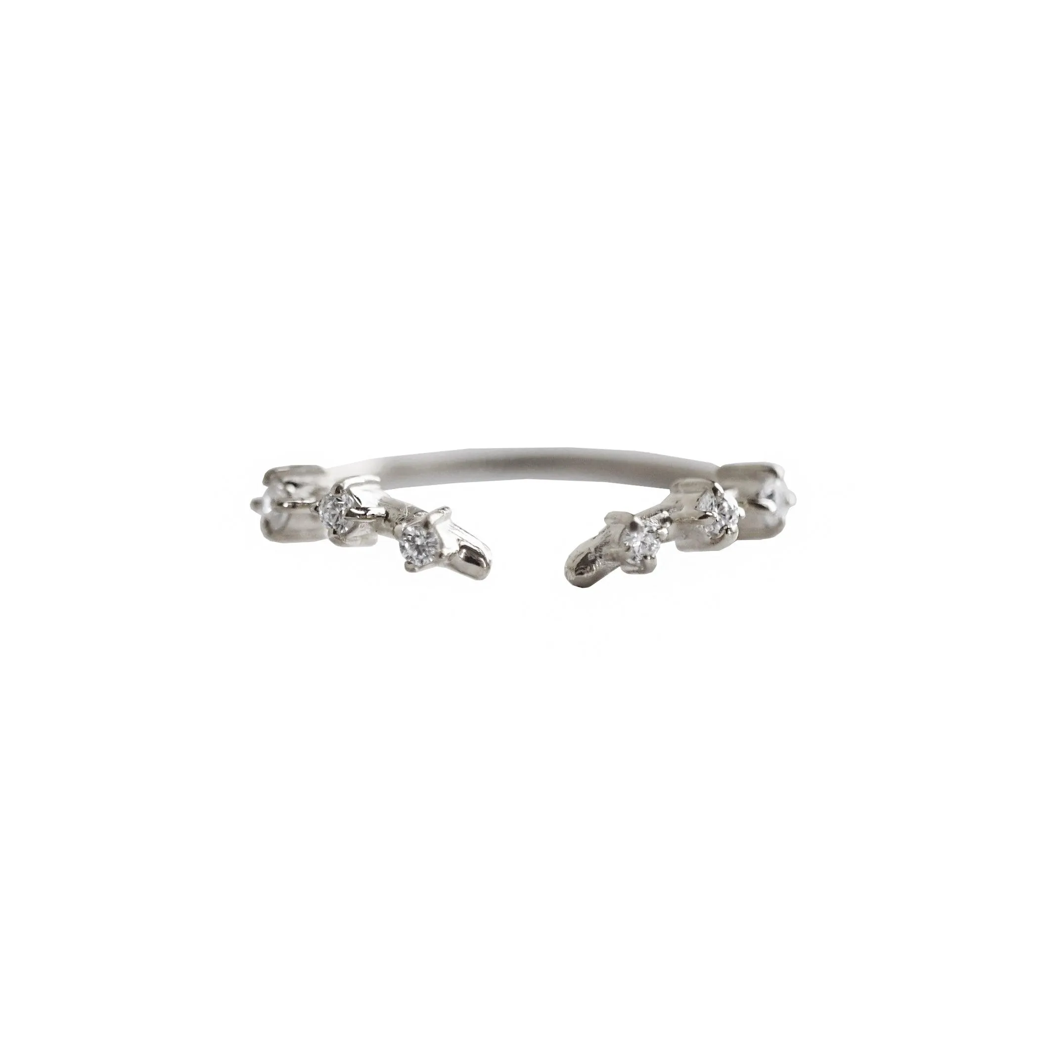 Rose Thorn Ring Band