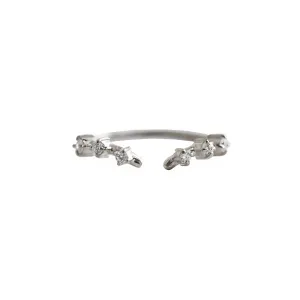 Rose Thorn Ring Band