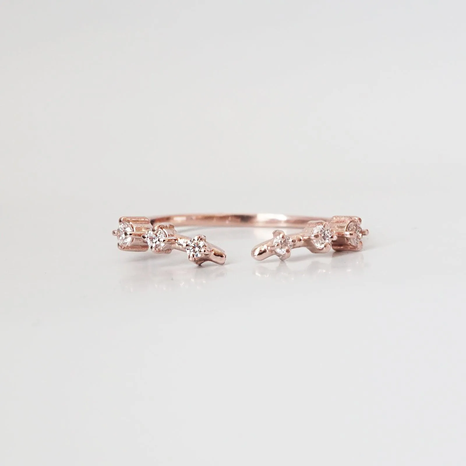 Rose Thorn Ring Band