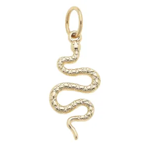 Serpent Charm in Shiny Gold By Canvas