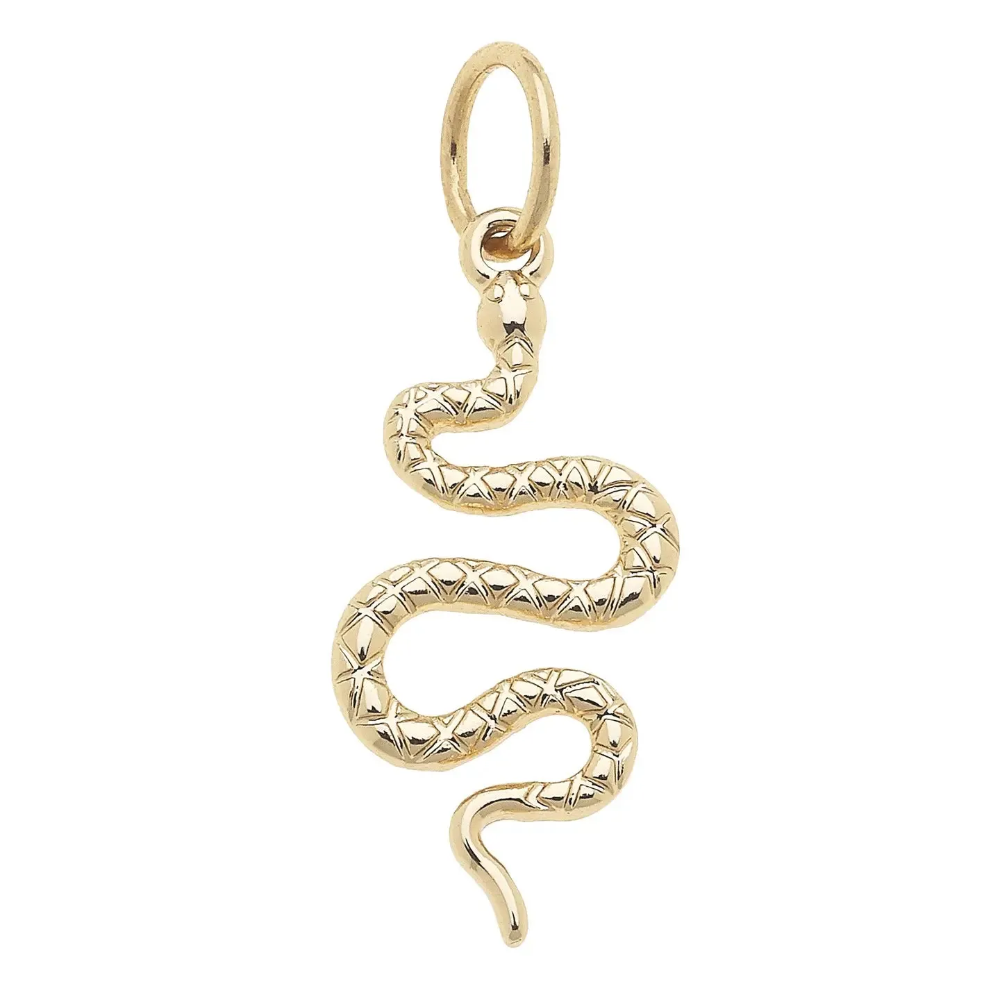 Serpent Charm in Shiny Gold By Canvas
