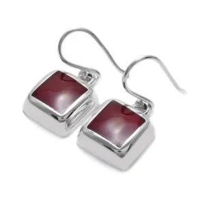 Stunning Square Sterling Silver Framed Red Jasper Hanging Earrings.